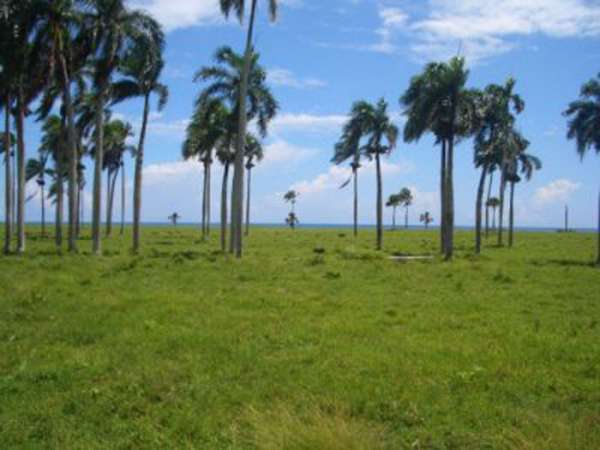 Beach Lot  For Sale In Las Canas